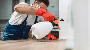 Best Pest Control for Multi-Family Homes  in Hillsbo, OR